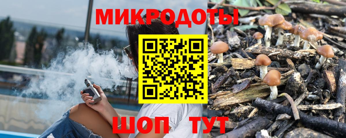 Псилоцибиновые грибы Psilocybine cubensis  Вход с VPN  Саяногорск 
