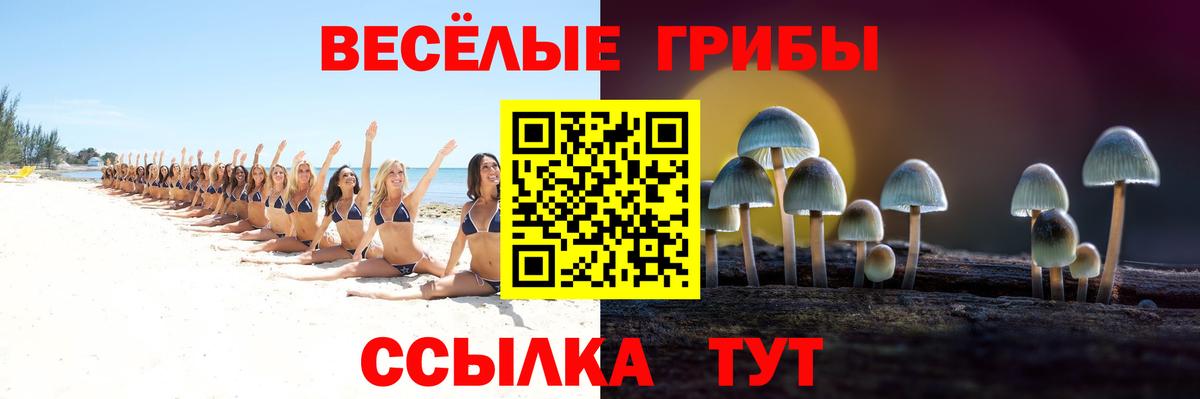 Галлюциногенные грибы мухоморы Саяногорск